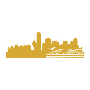Dallas SEO Pros logo