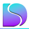 Digital Savvy Inc. logo