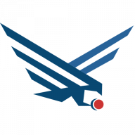 The Digital Hawks logo