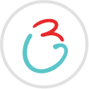 Berlin Grey LLC logo