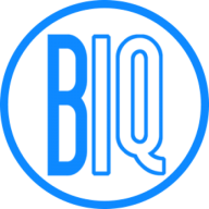 Brand IQ Inc. logo