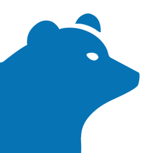 Blue Bear Digital Consulting logo