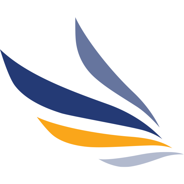 NetStrategies logo
