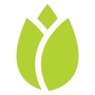 Green Tulip Design logo
