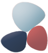 SNF Website Design logo