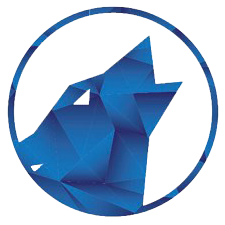 Clever Wolf Digital logo