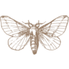 Selene Marketing logo