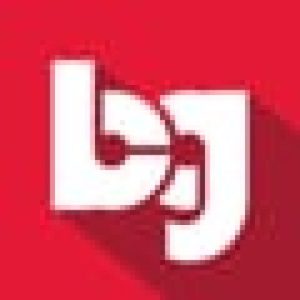 Borenstein Group, Inc. logo
