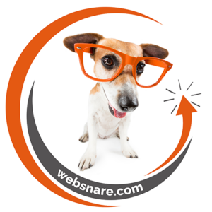 Websnare logo