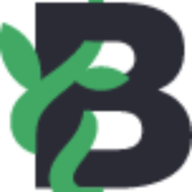 Beanstalk Web Solutions logo