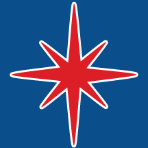 Vegas Website Designs LLC (www.vegaswebsitedesigns.com) logo