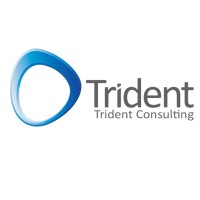 Trident Consulting Inc logo