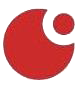 Fine Point logo