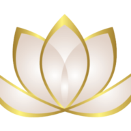 Zen Web Media logo