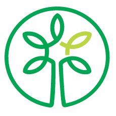 Angel Oak Creative logo