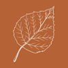 Truly Social Media logo