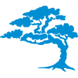 Cypress Digital Media logo