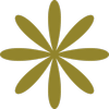 The Social Collective logo