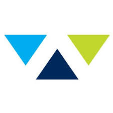 Wiser Strategies logo