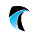 CEO Services USA logo