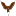 FLYING COW DESIGN logo