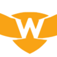 Wise Surge Digital Marketing logo