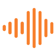 ROI Amplified logo