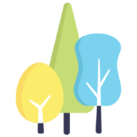 Bare Tree Media logo