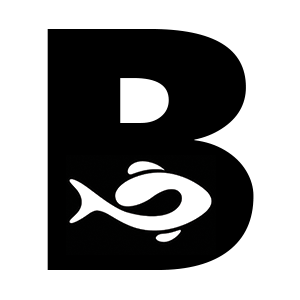 BoldFish Digital logo