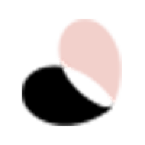 Socialfly logo
