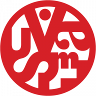 Visual Asylum logo
