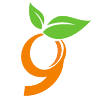 9seeds logo