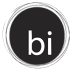 Business Informatics, LLC logo
