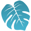 SoFloWeb logo
