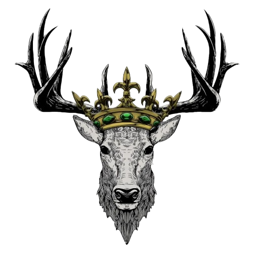 Medina Media Productions logo