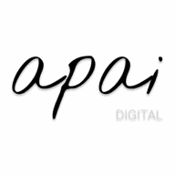 APAI Digital LLC logo