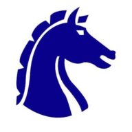 Paladin Logic, Limited logo