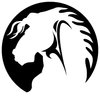 Dark Horse Design Corp. logo