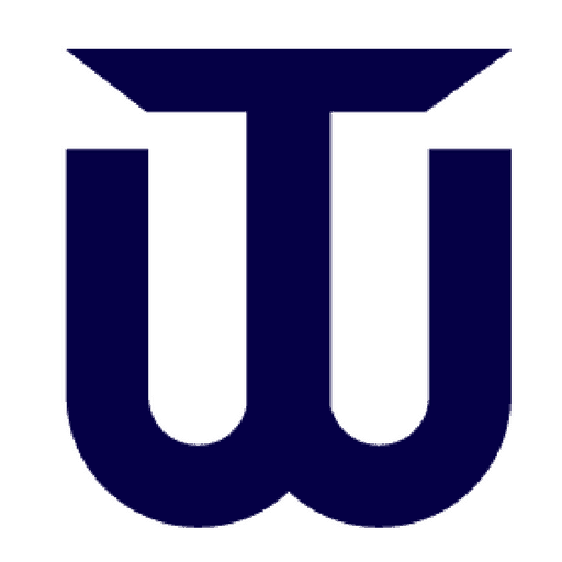Troyer Websites logo