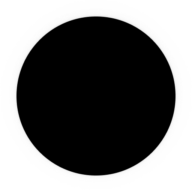 VIDNOVA logo