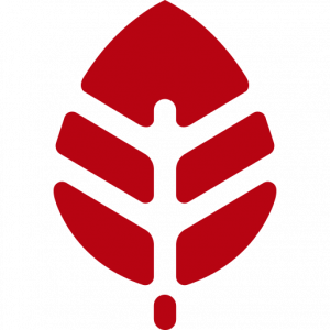 Red Leaf Media logo