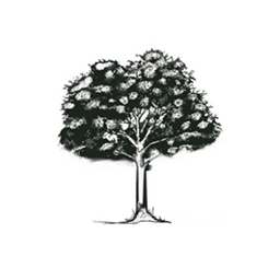 OK Media | Oakland Trust Marketing & PR logo