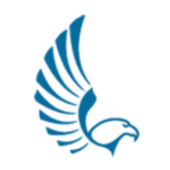 Falcon Digital Marketing logo
