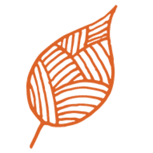 Cork Tree Creative logo