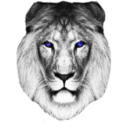Shire Lyon Ads logo