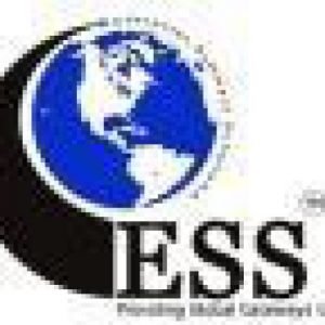 Enterprise software solutions logo
