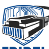 Fridell Solutions logo