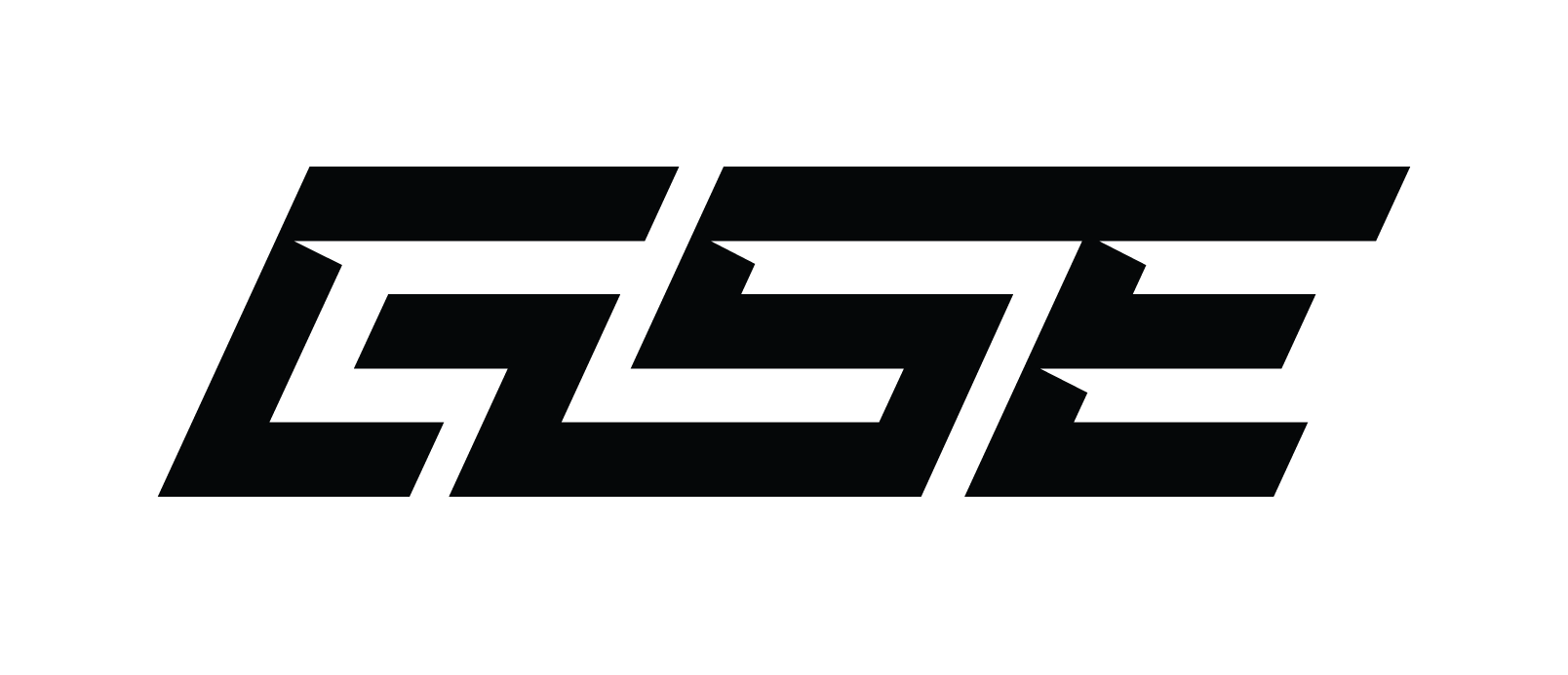 GSE Worldwide logo