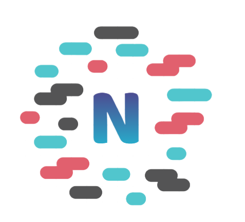 NetPro Agency logo
