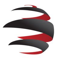 Evolution 6 Media logo